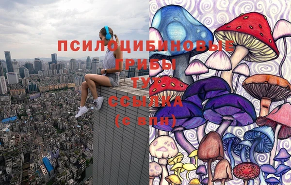 прущая мука Армянск